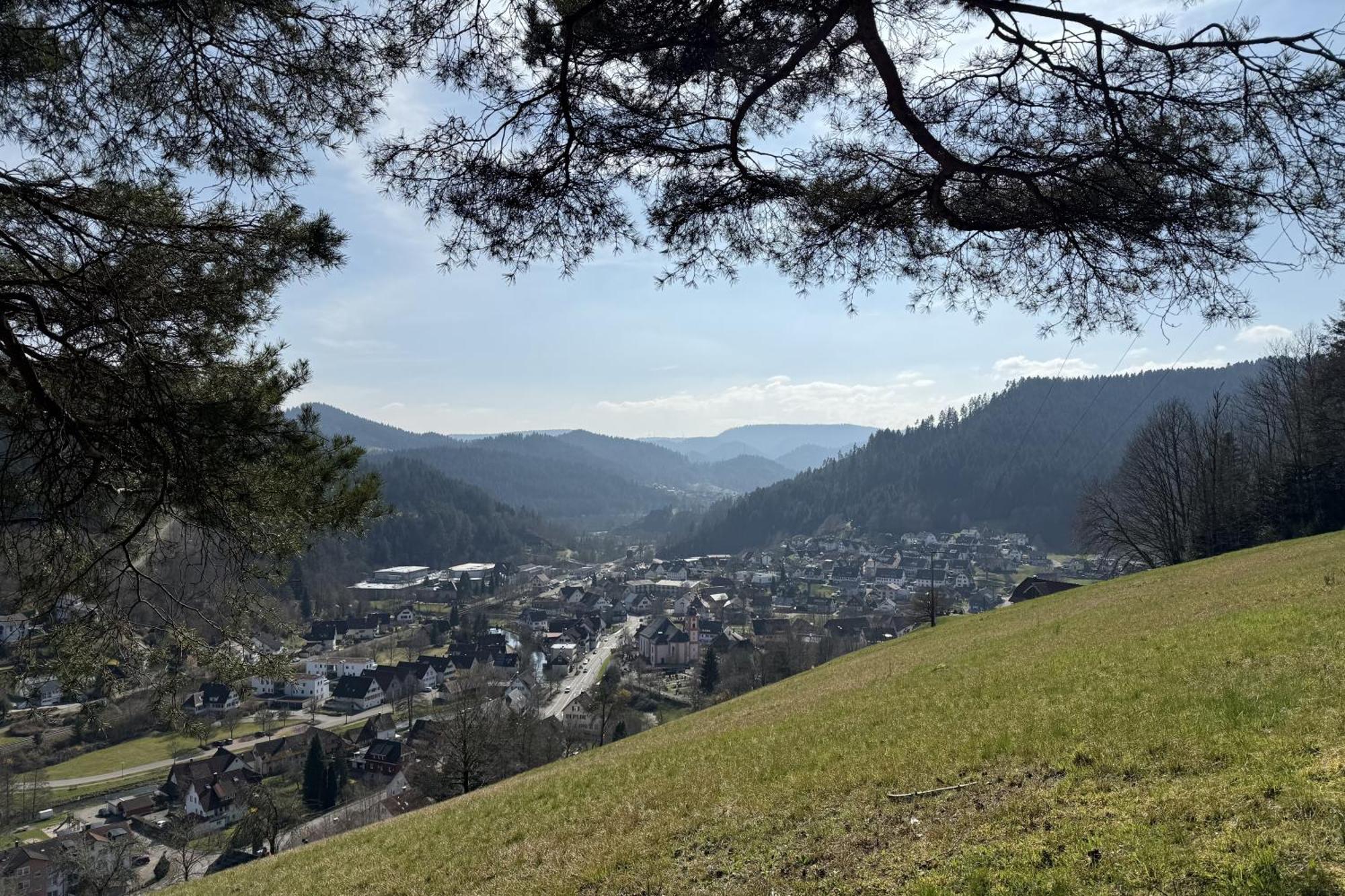 Schwarzwald Blockhaus - Sauna - Kamin - Mit Bettwaesche Und Handtuecher Schenkenzell Esterno foto