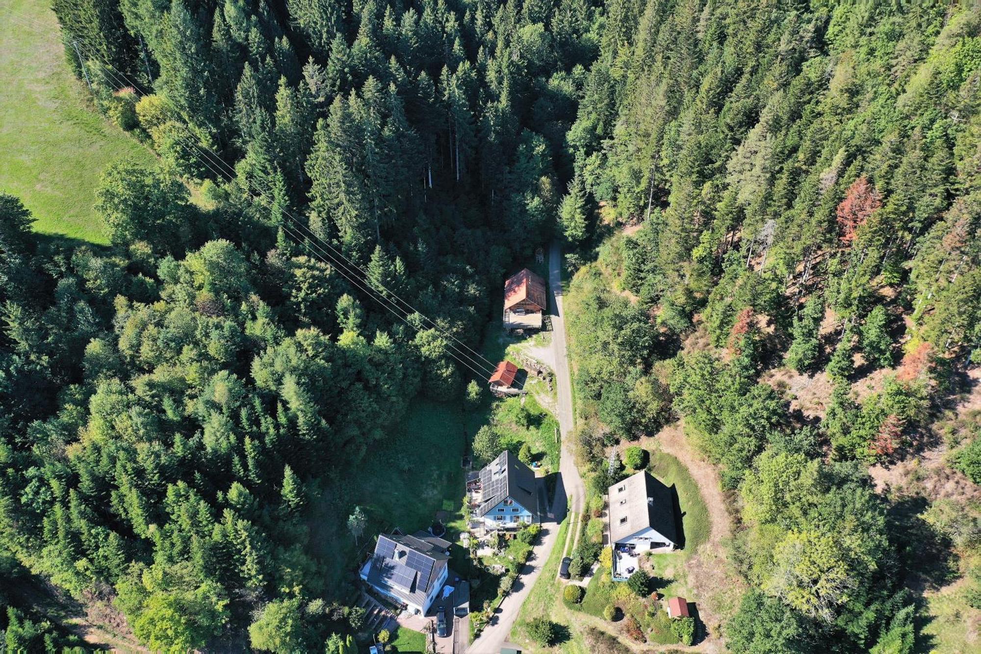 Schwarzwald Blockhaus - Sauna - Kamin - Mit Bettwaesche Und Handtuecher Schenkenzell Esterno foto